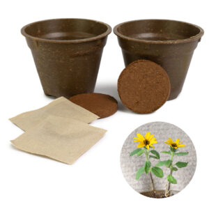 Greta Pro 9cm Set Sonnenblumen-Rennen